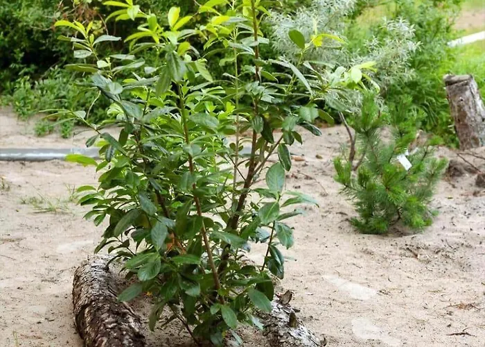 0235-romo-norre-frankel-63 Romo Kirkeby