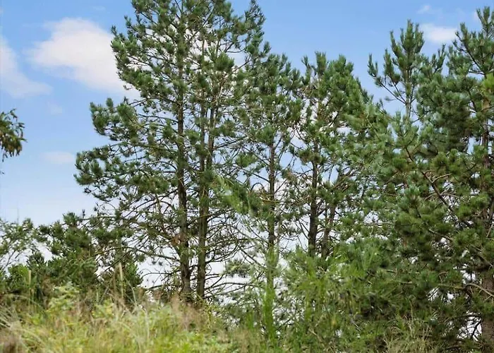 펜션 0235-romo-norre-frankel-63 Rømø Kirkeby